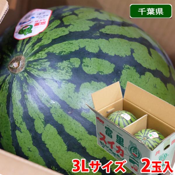 千葉県産 富里すいか B等級 3Lサイズ 2玉入り （約8〜9kg×2玉） 箱