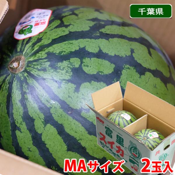 千葉県産 富里すいか B等級 MAサイズ 2玉入り (約5〜6kg×2玉 千葉県産 富里すいか B等級 MAサイズ 2玉入り (約5〜6kg×2玉