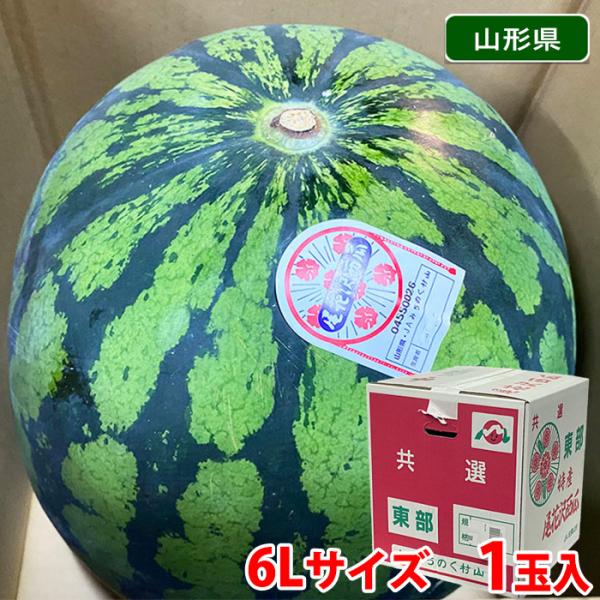 【使用不可】限定Suica　6種 promart-jp_11610409-4