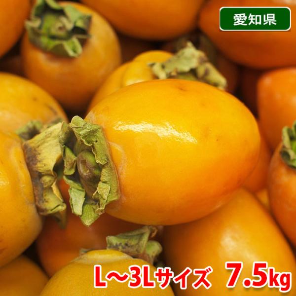 送料無料　愛知県産　筆柿（ふでがき）秀品　L〜3Lサイズ　7.5kg箱