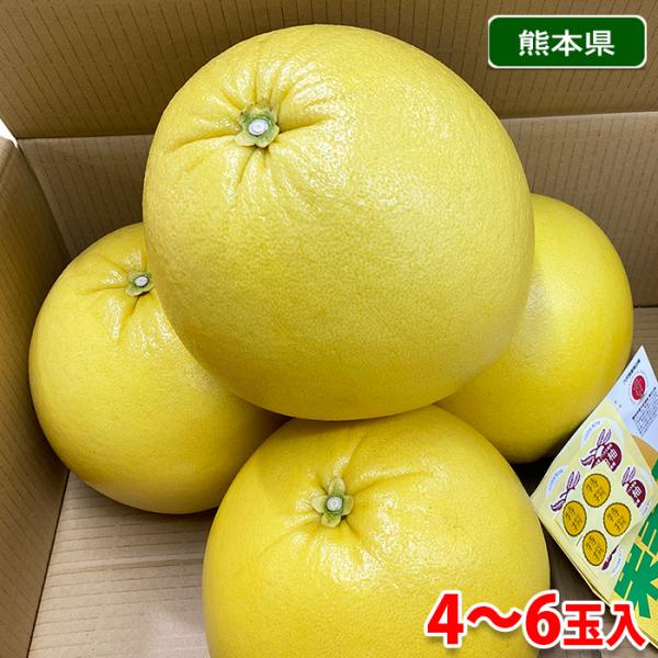 晩白柚の通販 価格比較 価格 Com