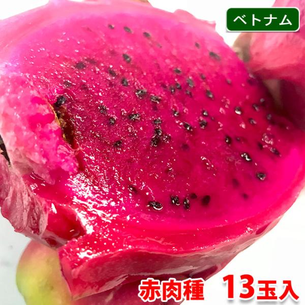 【送料無料】ベトナム産　ドラゴンフルーツ　赤肉種　13玉〜16玉入り（1箱）