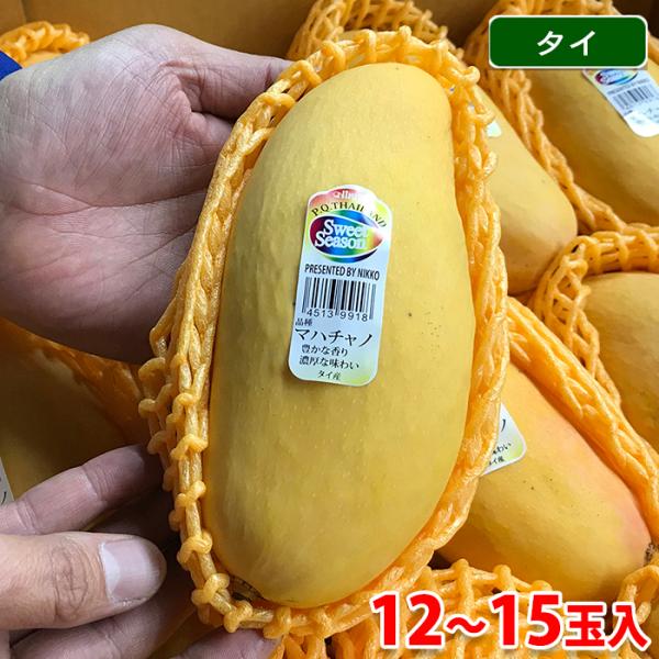 promart-jp_11610505