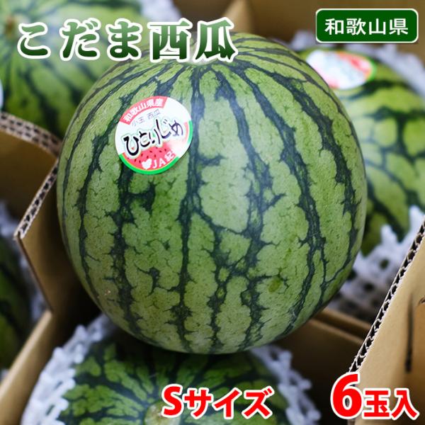 和歌山県産 小玉すいか （こだま西瓜） 秀品 Lサイズ 6玉入り