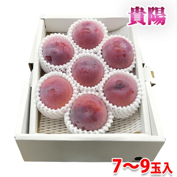 山梨県産 プラム 貴陽 秀品 7〜9玉入（化粧箱） : 生鮮卸売市場 - 通販