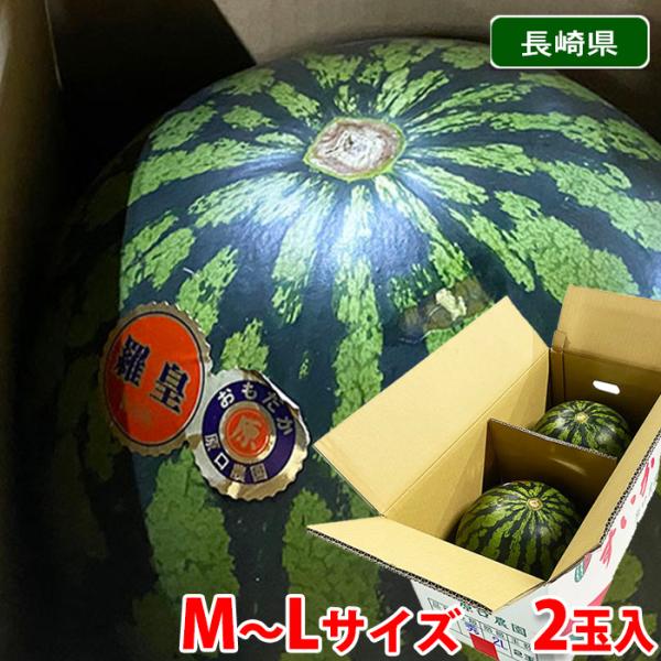 長崎県産 スイカ 秀品 2玉入 M〜Lサイズ （箱） 国産 西瓜 すいか