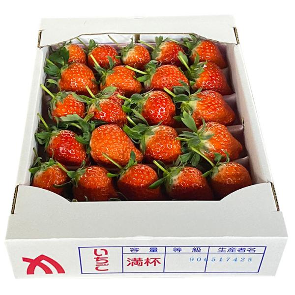 promart-jp_11610596-4_3_d_20250127160508