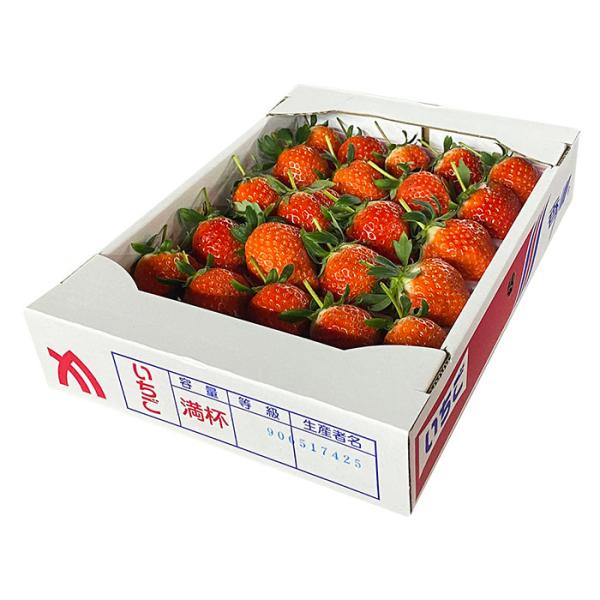 promart-jp_11610596-4_4_d_20250127160513