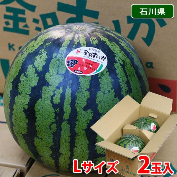 すいか様 茨城県産 紅小玉すいか(スウィートキッズ)1.4kg 1玉 Green Beans