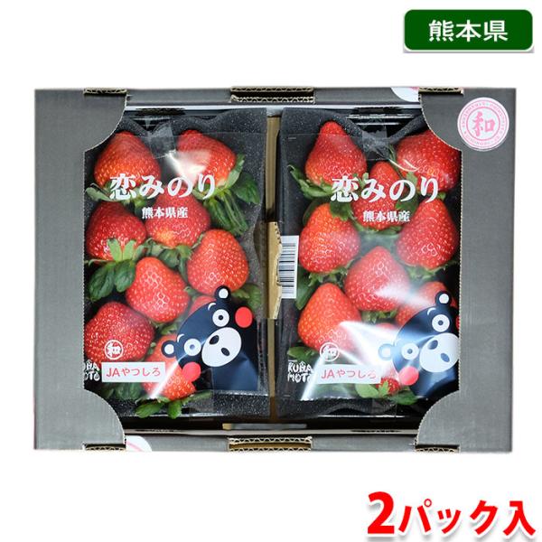 promart-jp_11610639-2