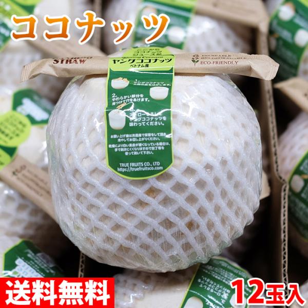送料無料 ベトナム ヤングココナッツ １箱/24個 送料無料 ベトナム ヤングココナッツ 1箱/24個 楽天市場