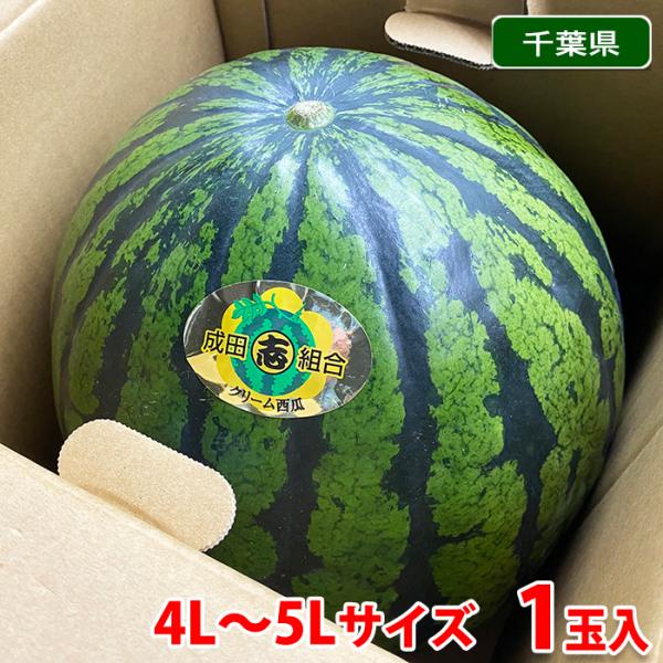 スイカ 5lの人気商品 通販 価格比較 価格 Com