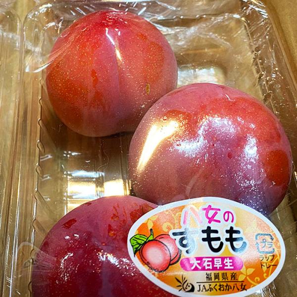 promart-jp_11610672_4