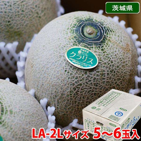 生産量日本一！茨城県産　オトメメロン　2Lサイズ　秀品　5玉セット オトメメロン2L 5玉入り 5月上旬[melon2l-2]