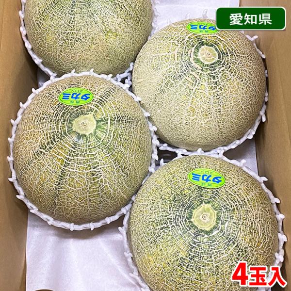５０００円～BIG大玉！甘甘のタカミメロン・３玉入り 5000円～BIG大玉！甘甘のタカミメロン・3玉入り