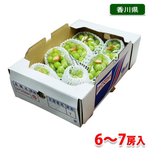 promart-jp_11610702-1
