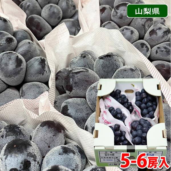 山梨県産 ぶどう 富士の輝 （富士の輝き） 特秀 5〜6房前後入 約3kg