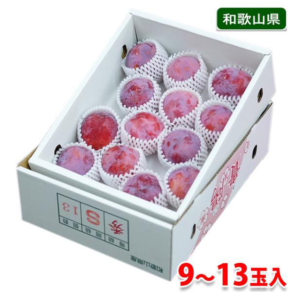 プラム堂∬ 楽天市場】送料無料 果物 フルーツ すもも プラム 山形県産 秋姫