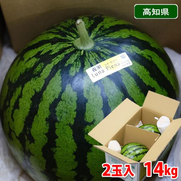 高知県産【ルナピエナすいか】高糖度  甘い  サクサク  小玉2玉 ルナピエナスイカ - 【公式】JA高知県 ｜県産品の通販も