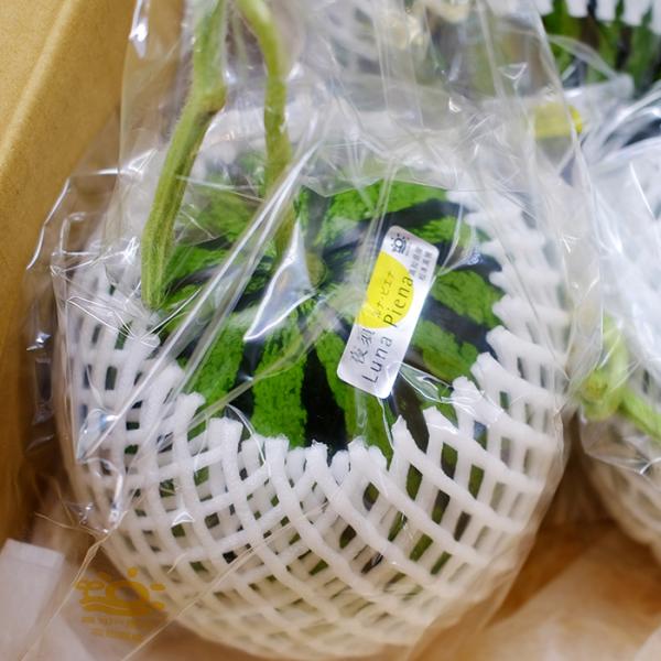 promart-jp_11610786_1_d_20221103143112