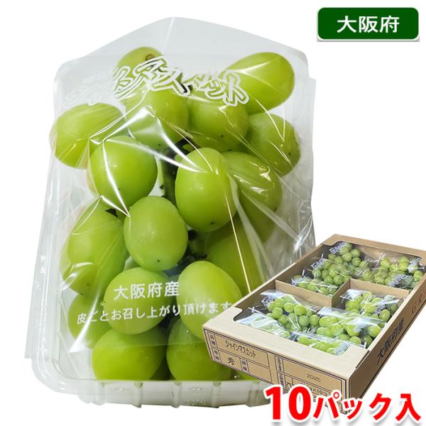 promart-jp_11610850-1