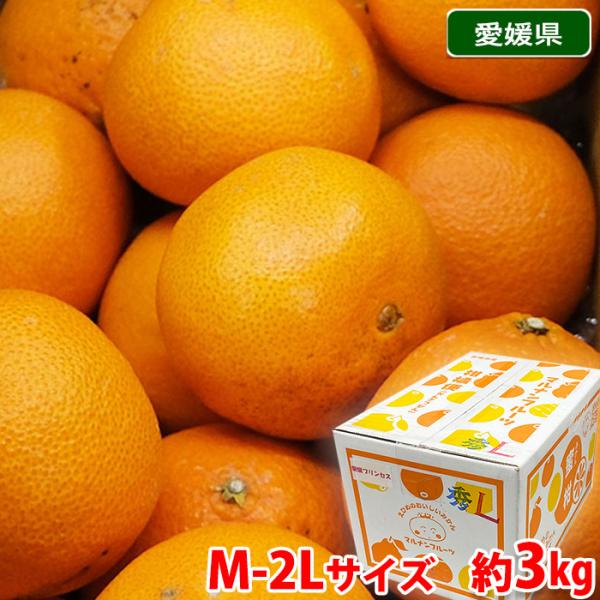 今話題の‼️愛媛県産　紅プリンセス　Lサイズ3kg みかんキング 愛媛県産 愛媛プリンセス （紅プリンセス） 秀品 M〜2Lサイズ 約3kg