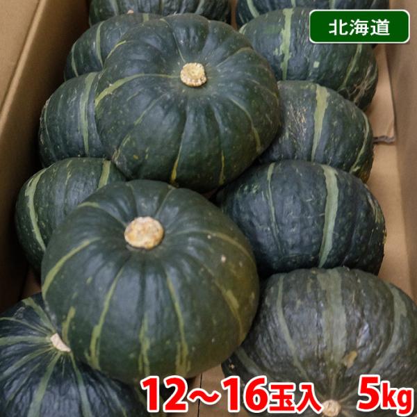 北海道産坊ちゃん、かぼちゃ　　12個入り　　5キロ 北海道産 坊ちゃん南瓜 12個〜16個入り／箱（約5kg） : 生鮮卸売市場
