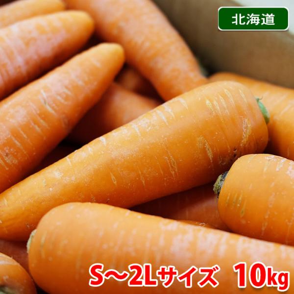 北海道産 人参 （にんじん） 秀品 S〜2Lサイズ 10kg （箱） 国産
