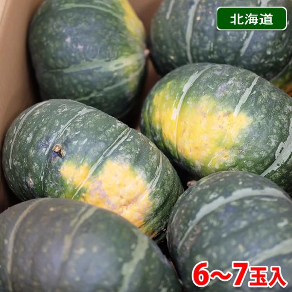 promart-jp_21710010