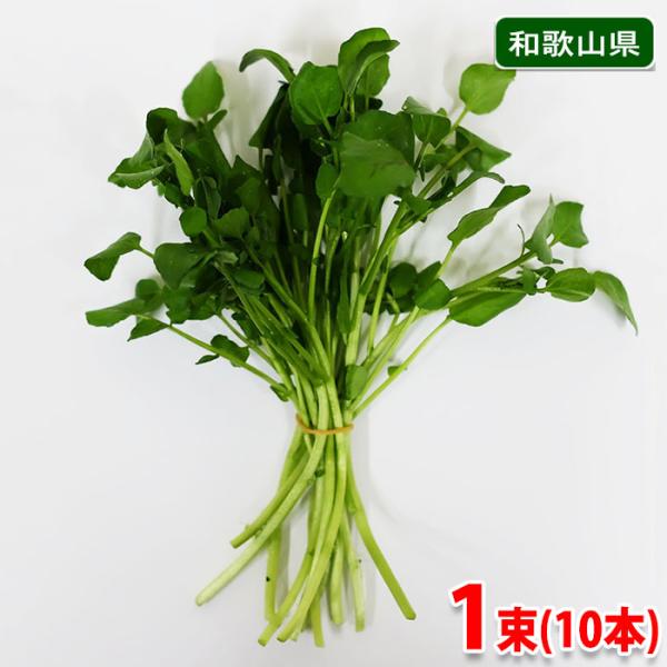 クレソン 総合 Favofavoitems
