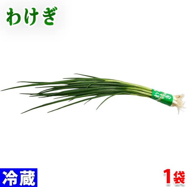 広島県産 わけぎ 80 100g 1束 21710031 1 生鮮卸売市場 通販 Yahoo ショッピング