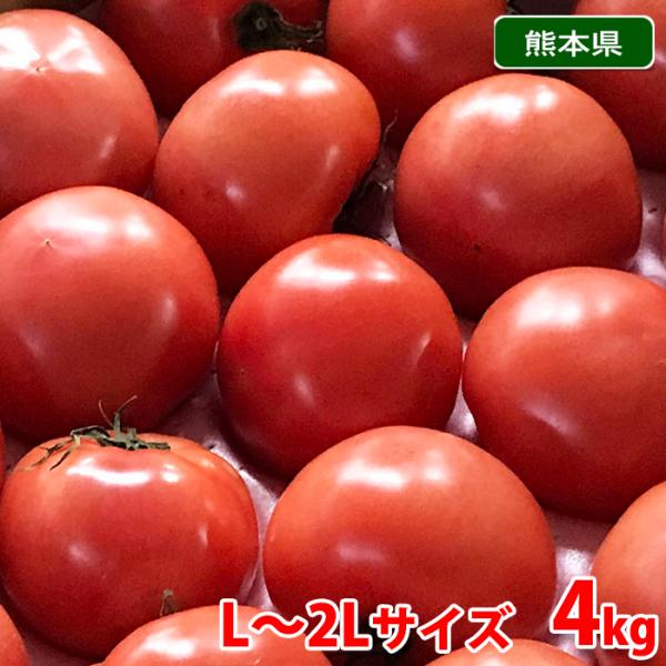 熊本県産 トマト 等級A・L〜2Lサイズ(16〜20玉入) 約4kg 熊本県産 トマト 等級A・L〜2Lサイズ(16〜20玉入) 約4kg