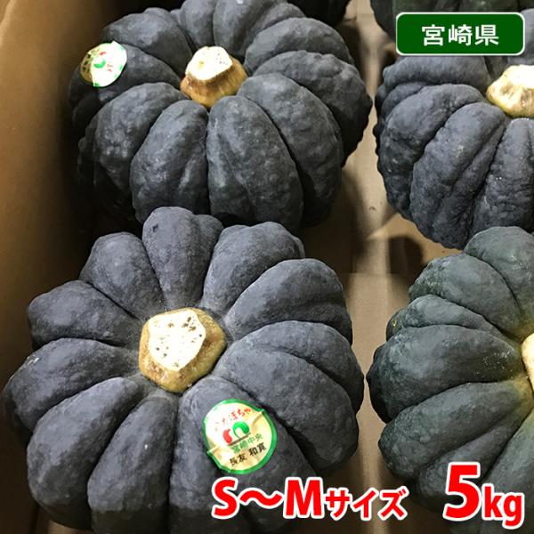 かぼちゃ かぼちゃの人気商品 通販 価格比較 価格 Com