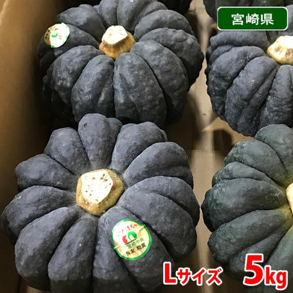 かぼちゃ 青森県産 かぼちゃブラックのジョー 2個入り4キロくらい - メルカリ