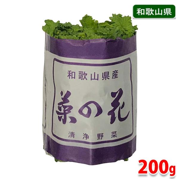 春の代表的な野菜の先取りです。春を告げる野菜の一つとして親しまれており、おひたしやあえ物、天ぷらや炒め物として美味しく食べられます。辛子和えやおひたしのほか、ハマグリや鯛とあわせて吸い物としてご利用ください。※入荷状況により、徳島県産など産...