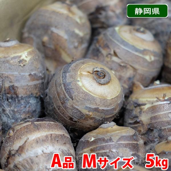 静岡県産 海老芋（えびいも） A品 Mサイズ 約5kg : 生鮮卸売市場