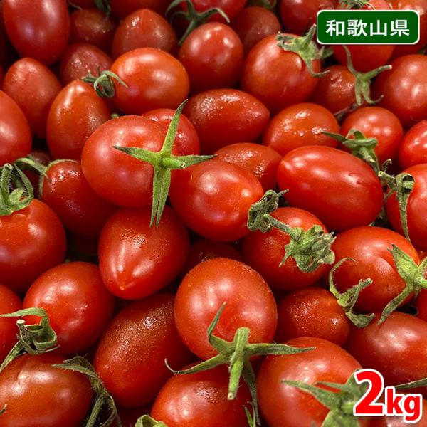 ⭐️SALE⭐️ミニトマト　12kg promart-jp_21710100