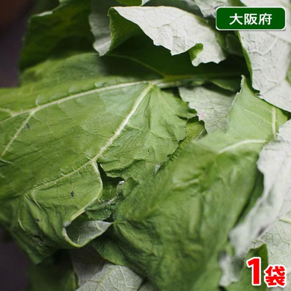 関西を中心に生産されていて関東にはあまり出回らない野菜です。シャキシャキとした歯ごたえと豊かな香り、ほろ苦さのある季節野菜で、炒め煮やかき揚げ、サラダ、スパゲティなど多彩な料理に使えます。※時期により高知県産など産地が変更になる場合があります。