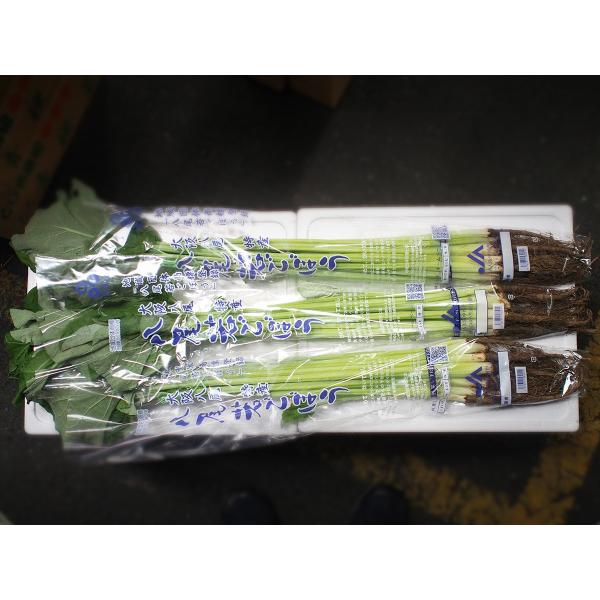 promart-jp_21710124_1