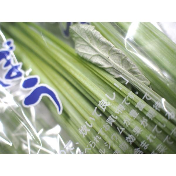 promart-jp_21710124_2