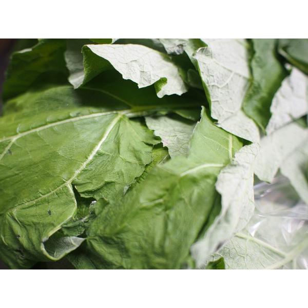 promart-jp_21710124_3