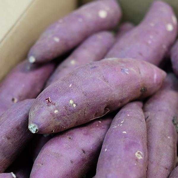 promart-jp_21710131-2_1