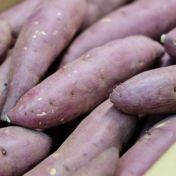 promart-jp_21710131-2_3