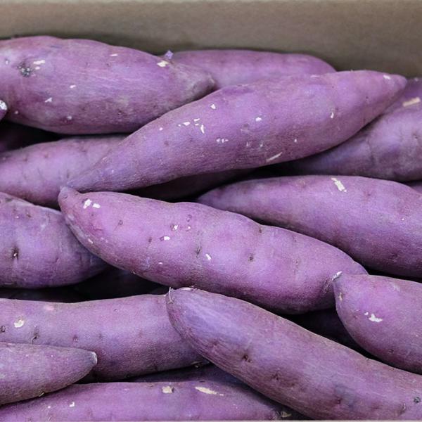 promart-jp_21710131-2_5