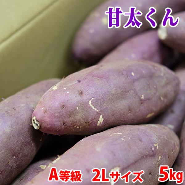 しっとり＆ねっとりした食感が人気の「紅はるか」です。色味は鮮やかな紅色で高糖度の甘さと口当たりの良さがあります。収穫から出荷までの間約2か月貯蔵され、甘さが一層増した熟成さつま芋です。