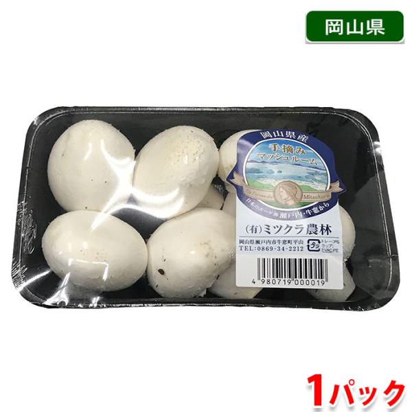 岡山県産 マッシュルーム（ホワイト） 5〜10個入り 1パック