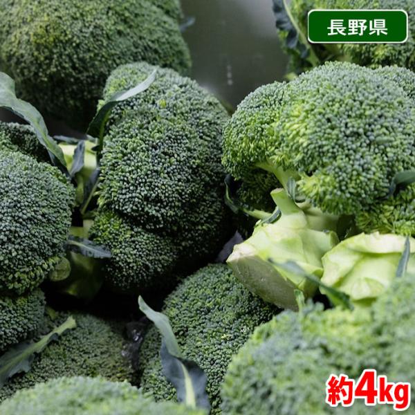 野菜 きのこ ブロッコリーの人気商品・通販・価格比較 - 価格.com