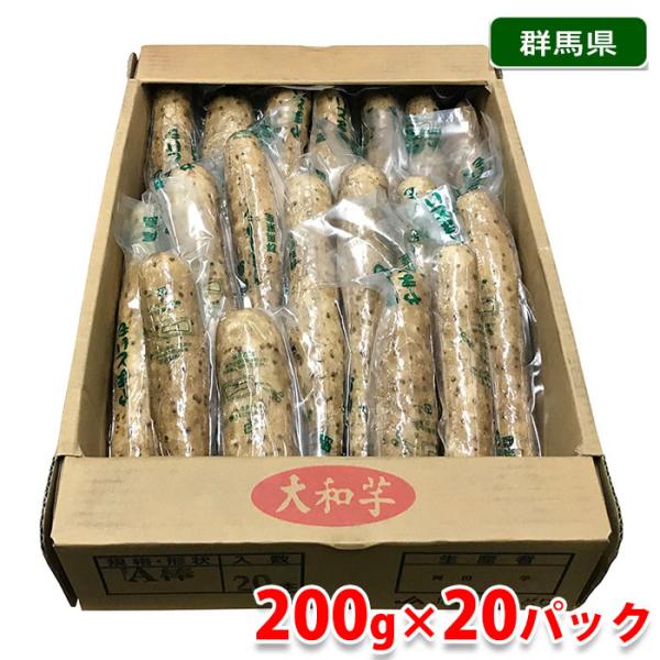 群馬を代表する特産品のひとつ「やまといも」を栄養価やネバリが高く新鮮さを保ったままパックにしています。粘りが強く、コクと風味があり、生でシャキシャキ、加熱するとホクホクとした食感があります。とろろ汁、山かけ、酢物も、煮物料理、とろろそば、お...