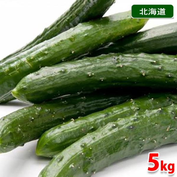 きゅうり 5kgの人気商品 通販 価格比較 価格 Com