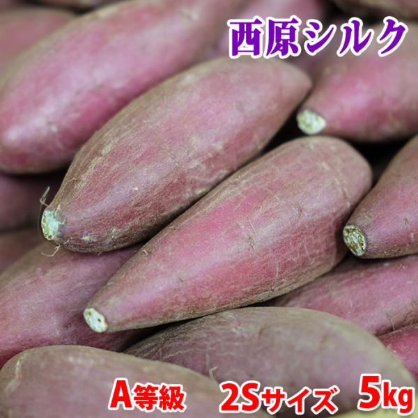 さつまいも品種「シルクスイート」は、焼き芋にしたときの滑らかな食感と甘さで人気が高い品種です。熊本県産シルクスイートとして、熊本県・阿蘇山の麓にある西原村の特産品でもある、「西原シルク」を主にお届けさせていただきます。しっとりした口当たりが...